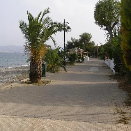 Daire Oma's Haus- το σπίτι της γιαγιάς Agioi Theodoroi (Corinthia)