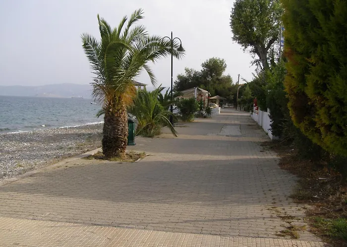 Daire Oma's Haus- το σπίτι της γιαγιάς Agioi Theodoroi (Corinthia)